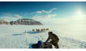 Скриншот к фильму «Арктика 3D»