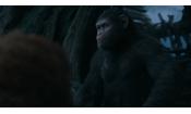 Скриншот к фильму «Планета обезьян: Революция»