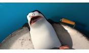 Скриншот к фильму «Пингвины Мадагаскара»
