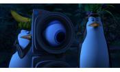 Скриншот к фильму «Пингвины Мадагаскара»