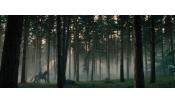 Скриншот к фильму «Чем дальше в лес…»
