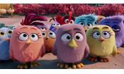 Скриншот к фильму «Angry Birds в кино»