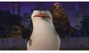 Скриншот к фильму «Пингвины из Мадагаскара (3 сезона)»
