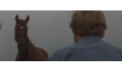 Скриншот к фильму «Заклинатель лошадей»