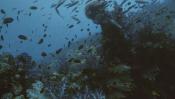 Скриншот к фильму «Жители океанов»
