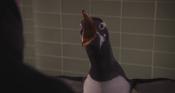 Скриншот к фильму «Пингвины мистера Поппера»