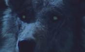 Скриншот к фильму «По ту сторону волков (4 серии)»