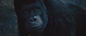 Скриншот к фильму «Восстание планеты обезьян»