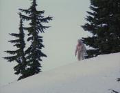 Скриншот к фильму «Йети: проклятье снежного демона»